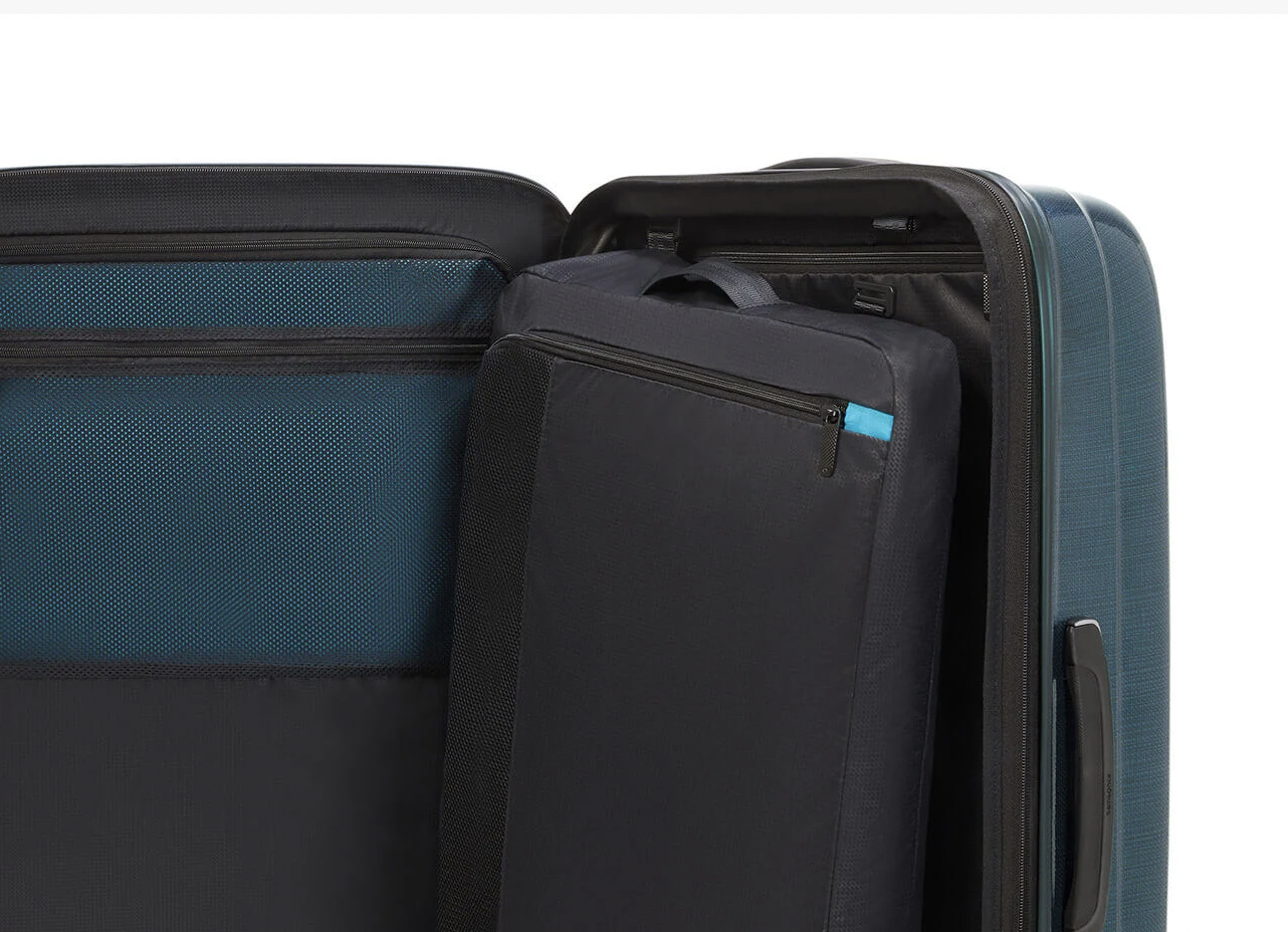 Nexis - dettaglio interno